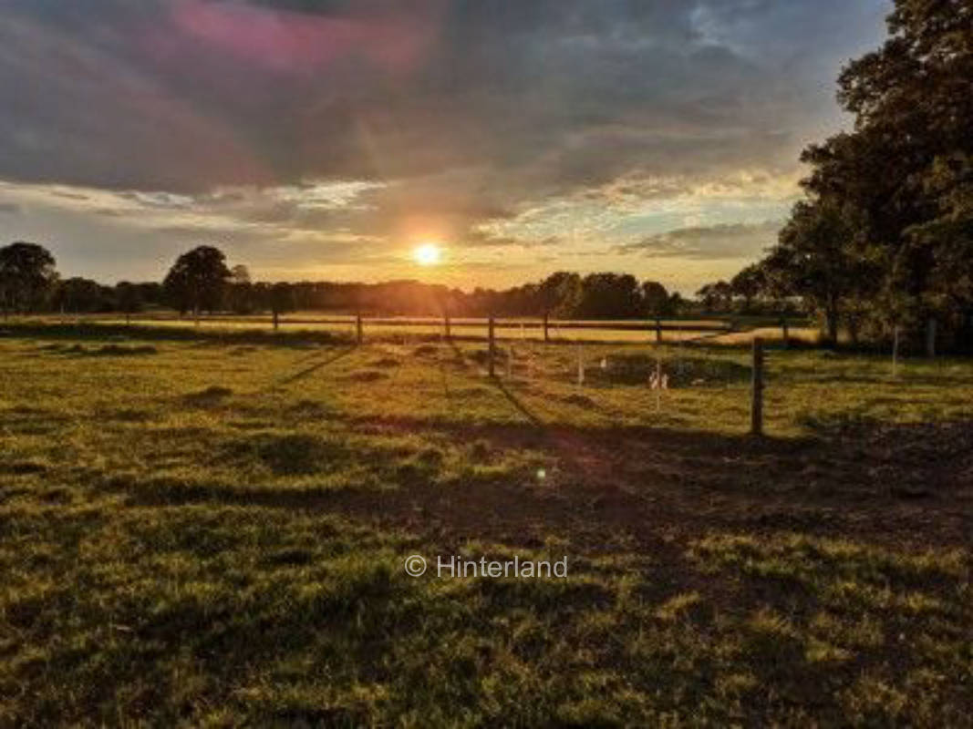 Camping on the farm near the Lüneburg Heath