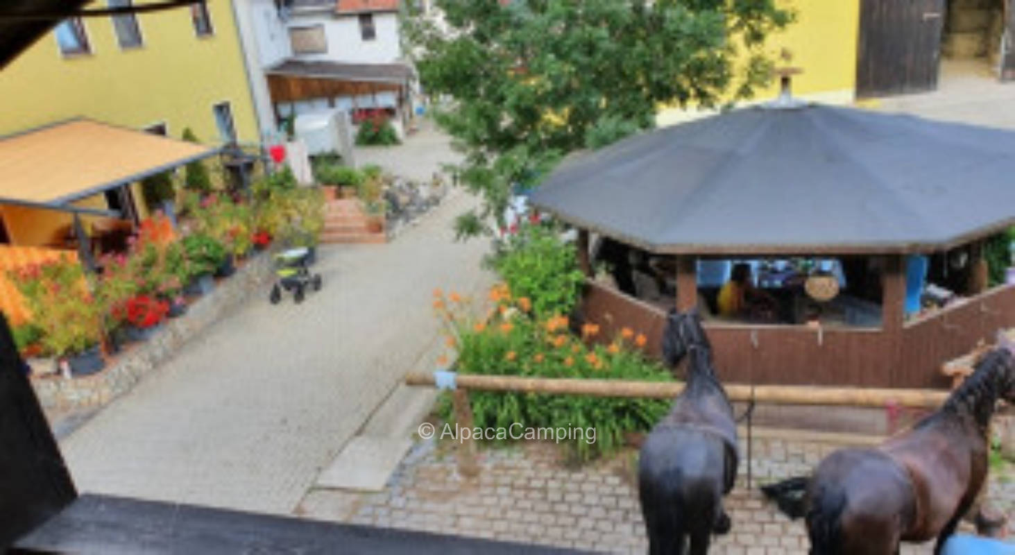 Auf dem  Pferdehof #2