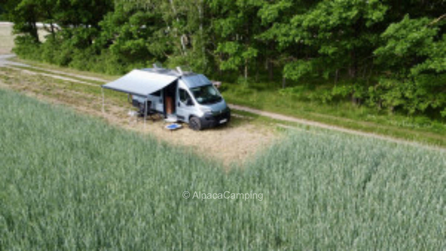 Idyllische Lage am Waldrand #2