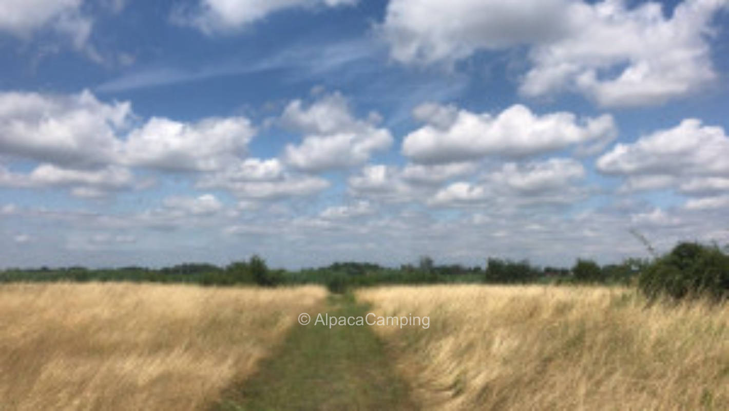 Pitch in Neulangsow #1