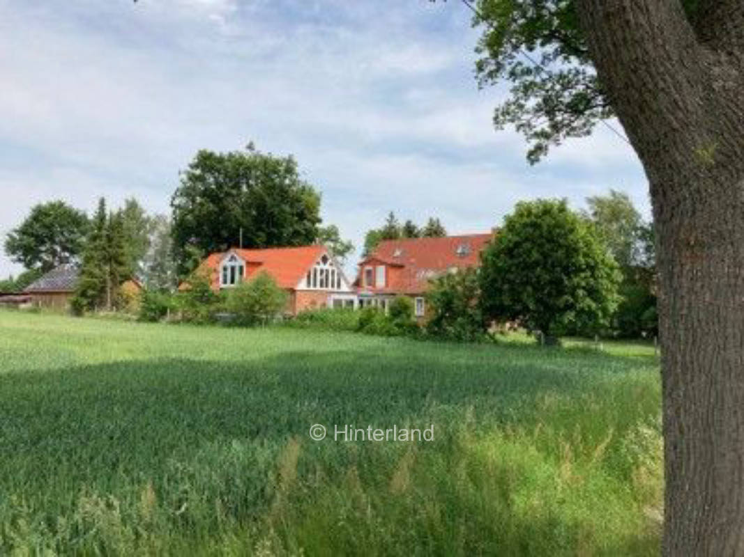 MOORHEXEN-HUUS near Bruchhausen-Vilsen