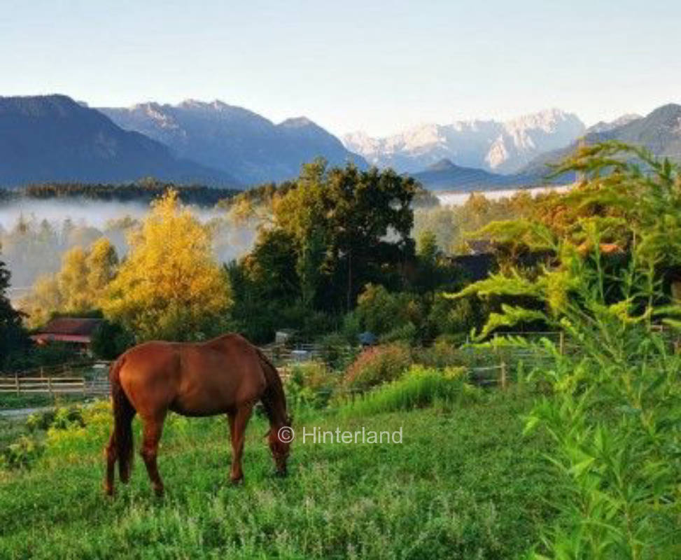 Aufwachen mit Blick über das Murnauer Moos , privater Stellplatz