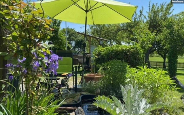 You camp in a fenced garden among fruit trees on grass of approx. 200 m² (Campspace 20922)