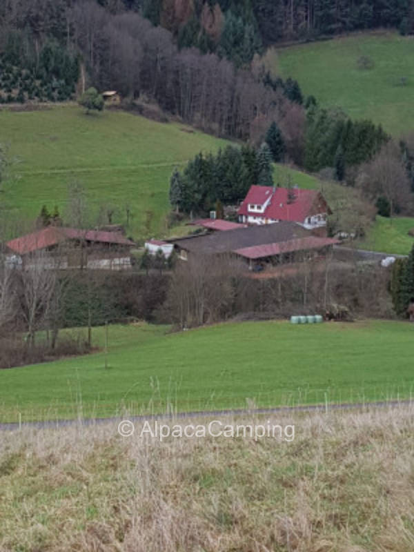 Auf dem Rebberg #3