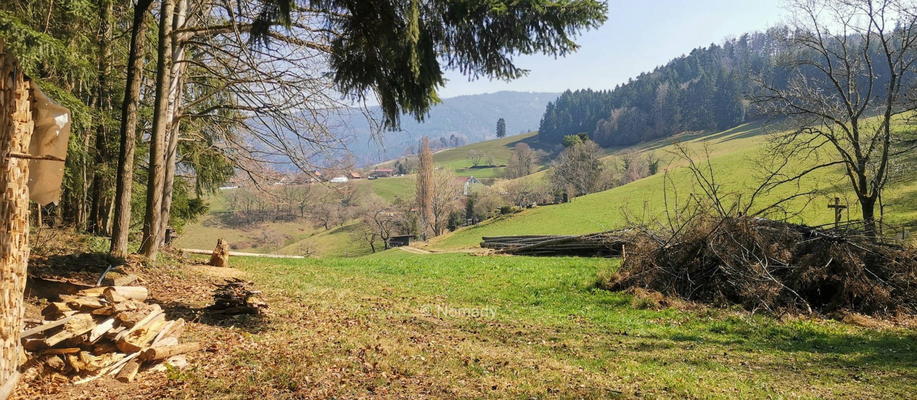 Idyllischer ruhiger waldrandplatz bei elli thomas