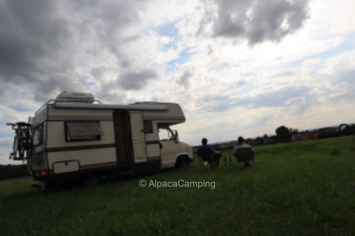 Träumen unter Bäumen #3