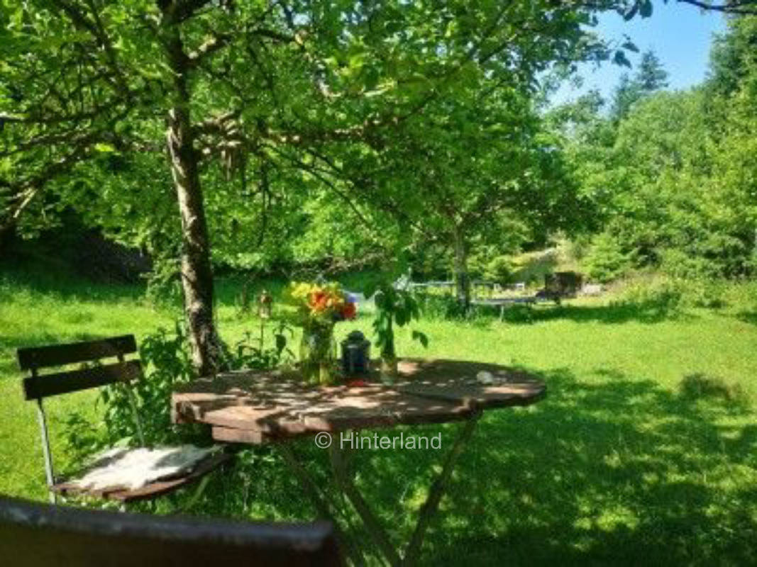 Wildes Beschütztes Valley