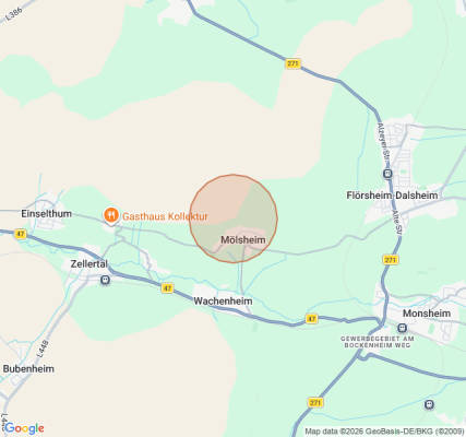 Wiese mit blick auf den odenwald