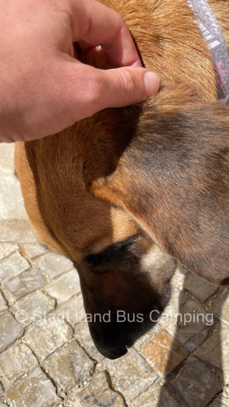 Hallo Test Stellplatz Mobile