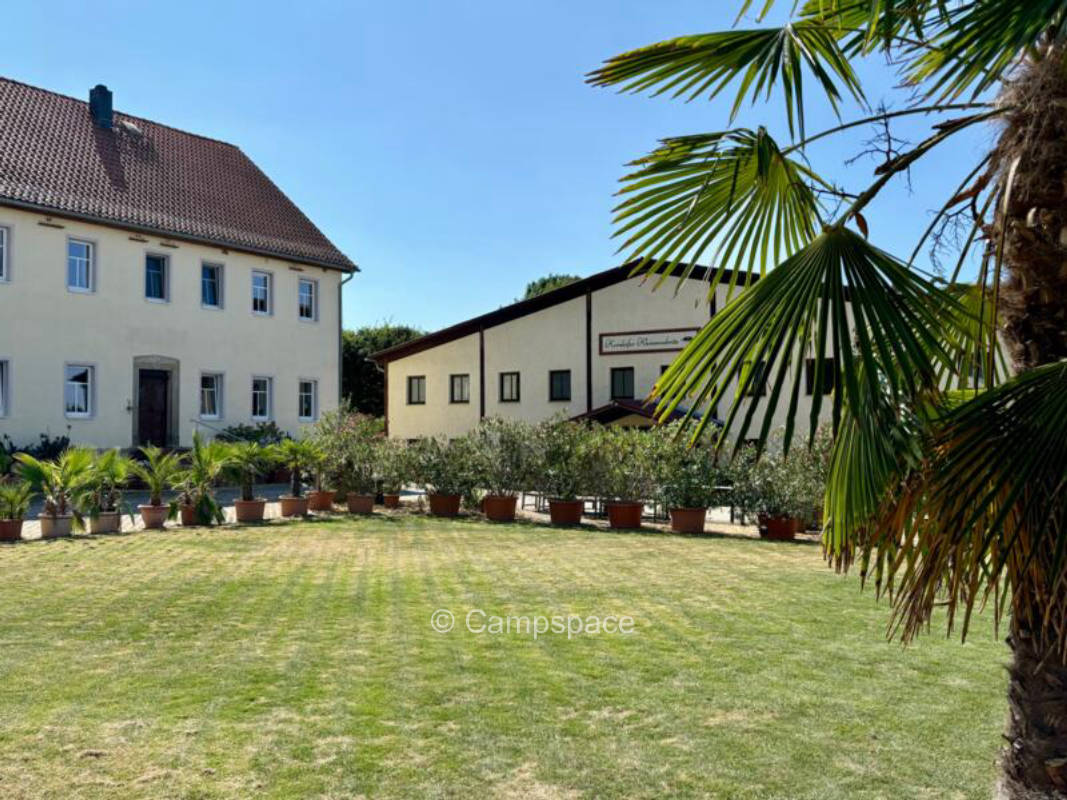 Kornkäfer (Campspace 22568)