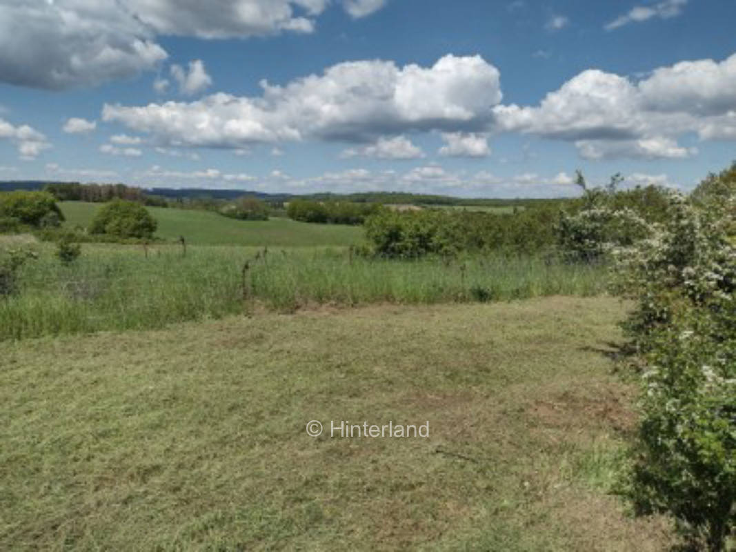 Pure tranquility in a historic place