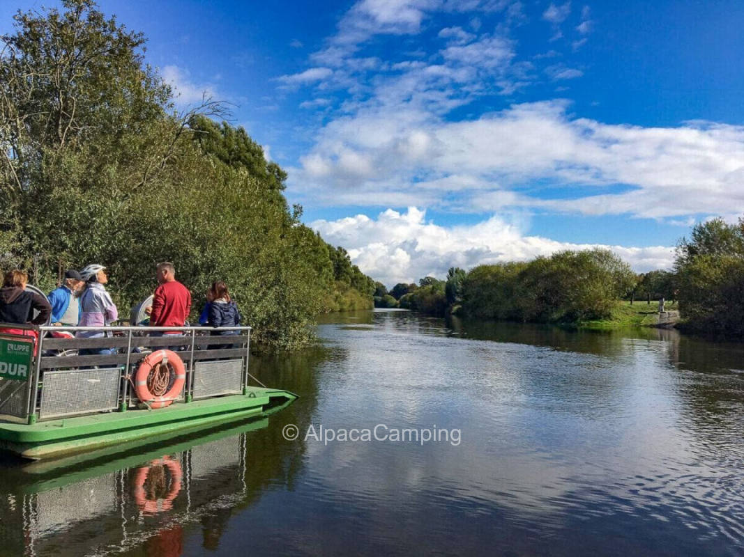 On the fruit meadow in Dorsten #1