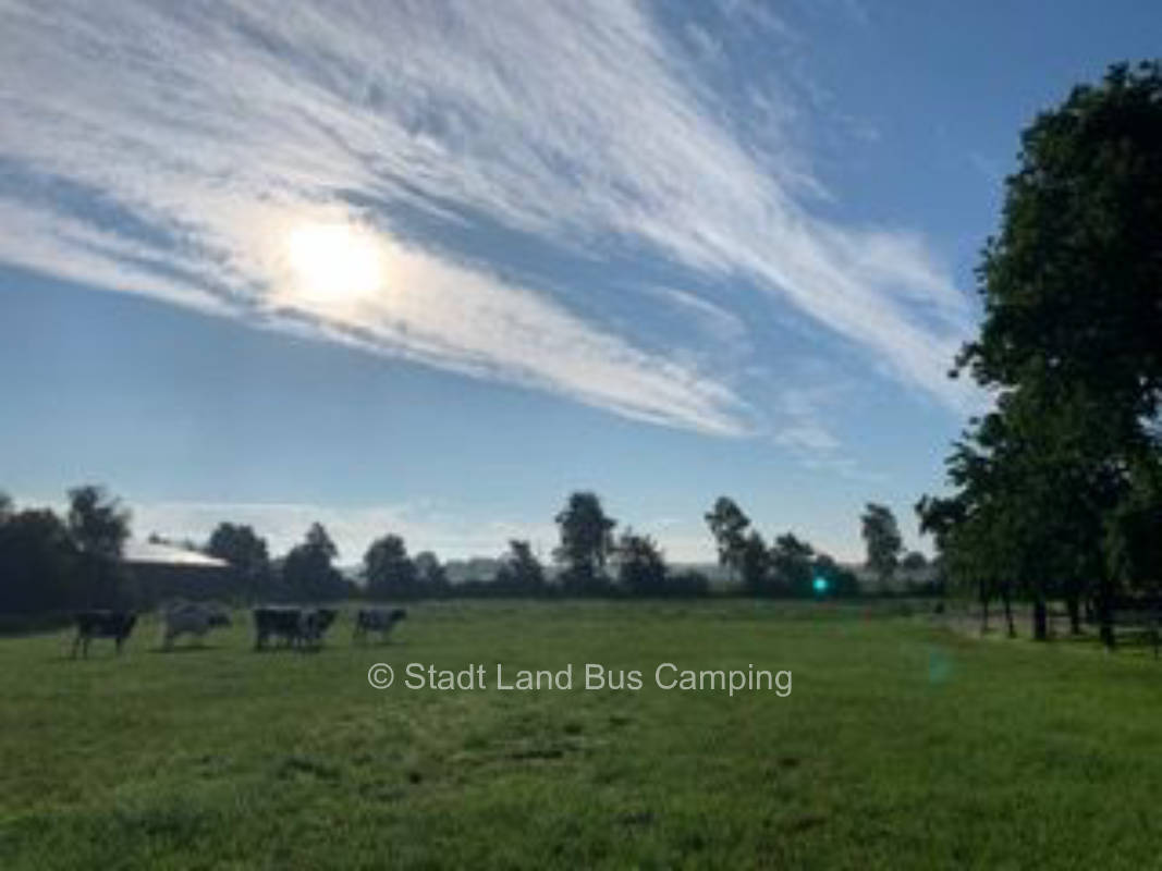 To the jaunty Heinz 3