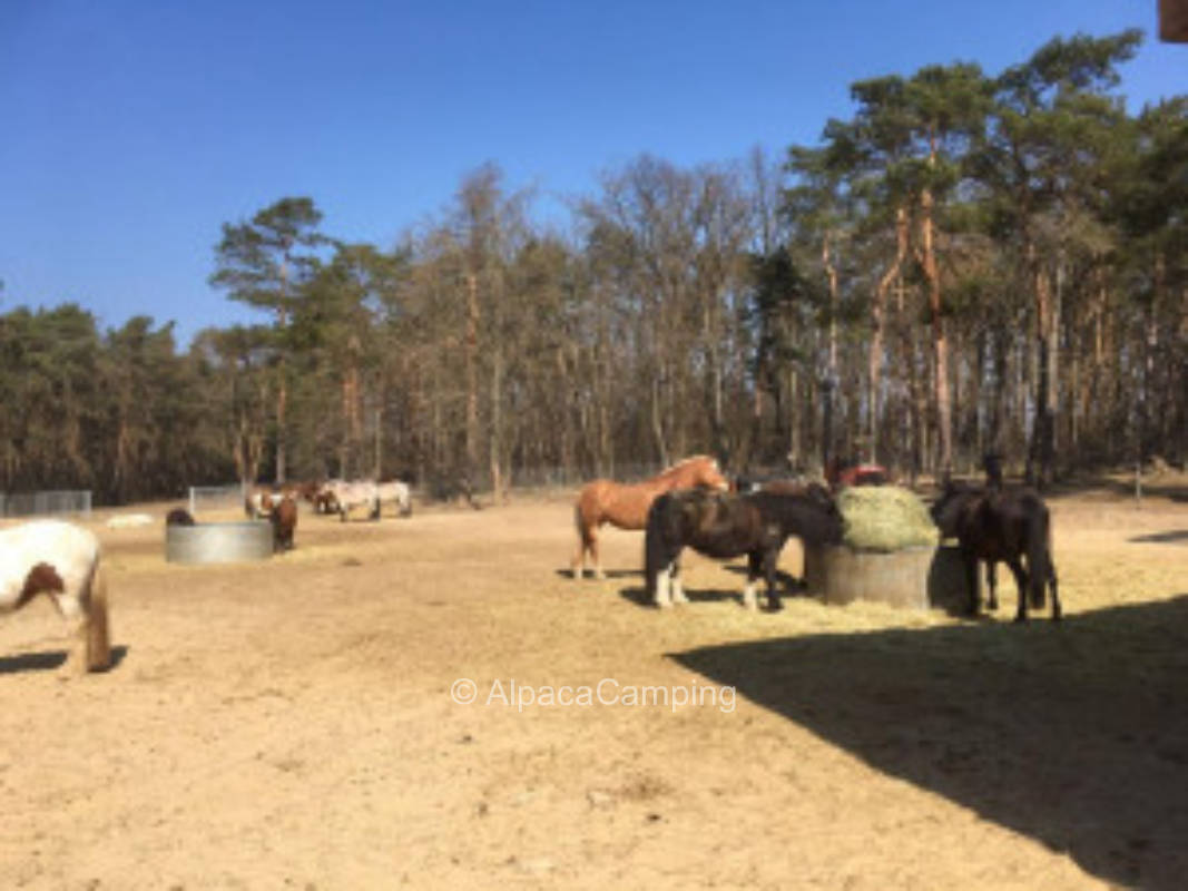 View of the pastures #3
