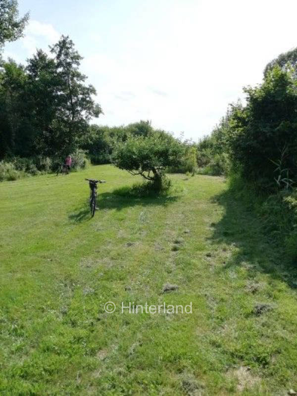Wiese mit direktem Seezugang, privater Stellplatz