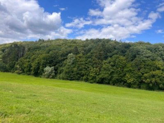 Naturcamping am Bauernhof in der Vulkaneifel