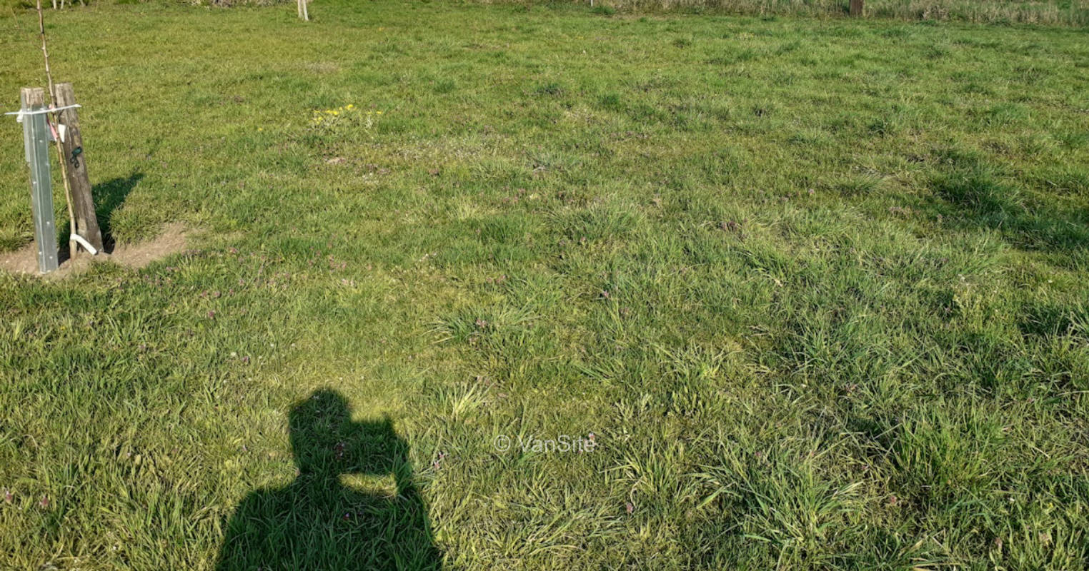 Windige Ecke am Feld und den ganzen Tag Sonne