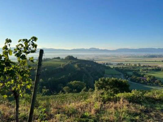 Unique - overnight stay in the middle of the vineyards