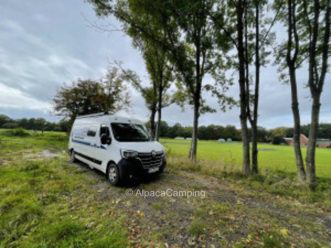 Stellplatz an einer Kuhweide #3