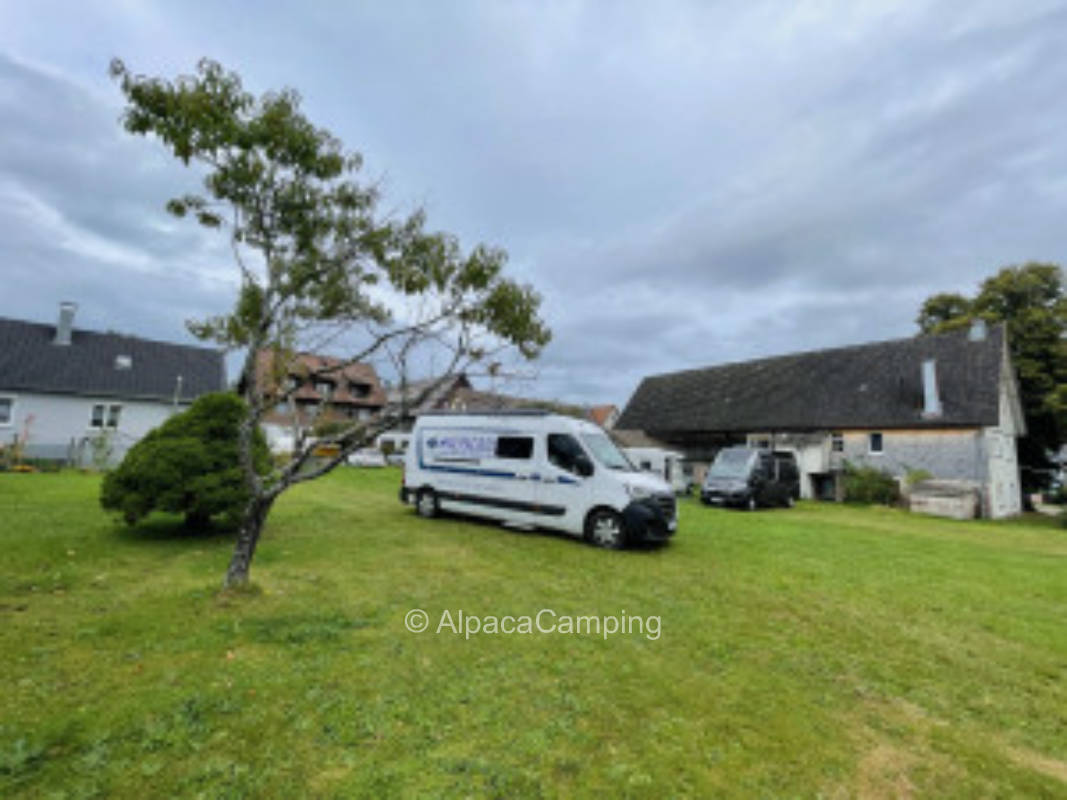 Auf unserer Blumenwiese hinterm Bauernhaus #1