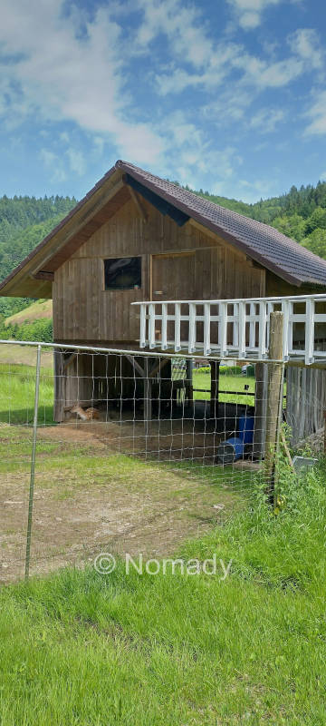 Schlafen im Heu