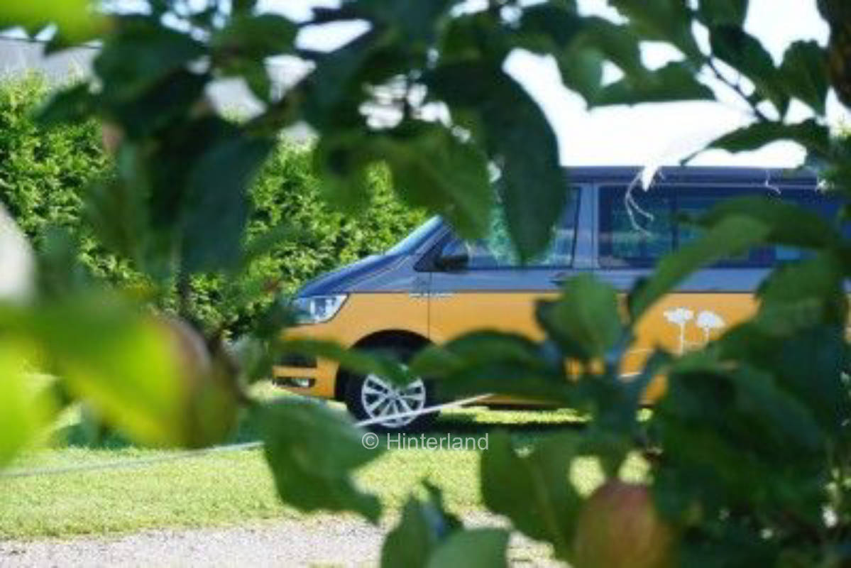 Camping mit Blick auf Bodensee-Apfelbäume, privater Stellplatz
