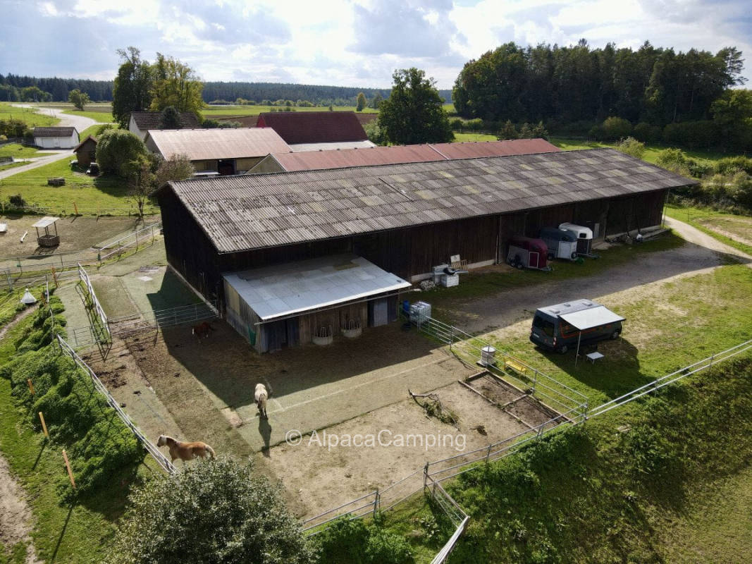 Place on the edge of the equestrian facility - forest meadows horses #1