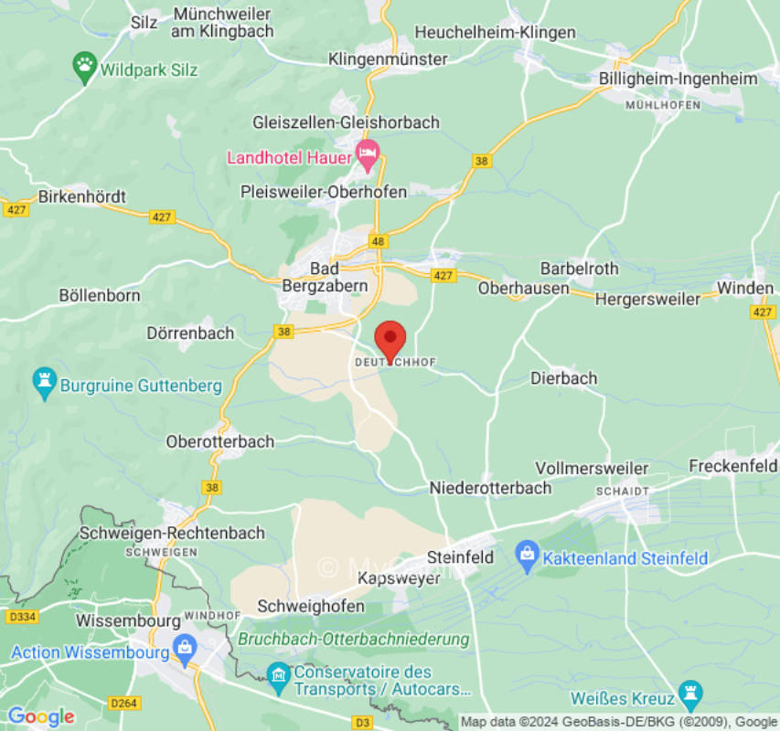 Stellplatz mit Blick auf die Alpakakoppel