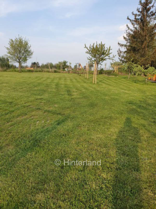 romantische Obstwiese in Klipphausen 