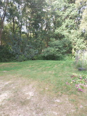 Garden in the green