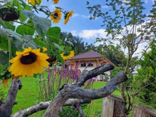 -Autark- am Blockhaus im Spessart am Waldrand