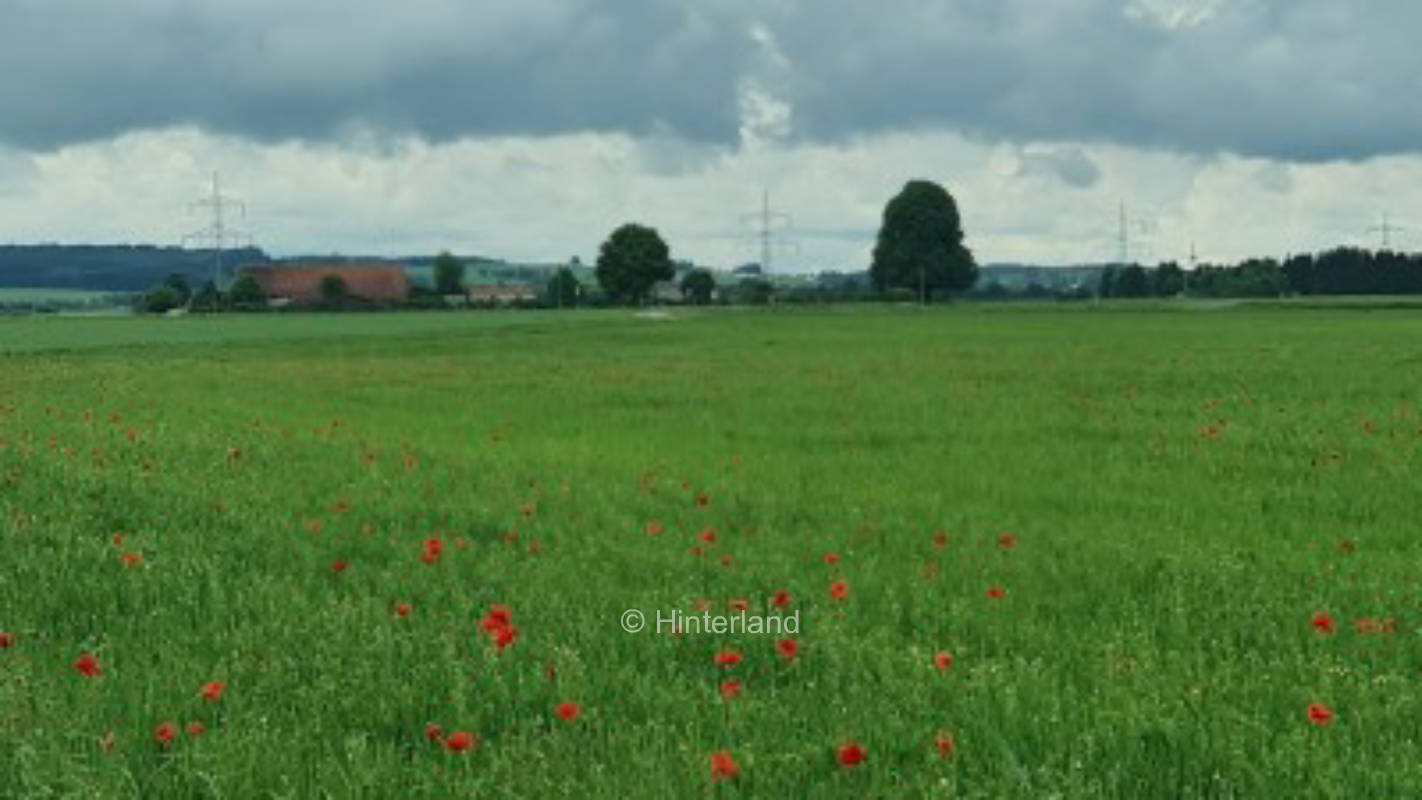 Half-timbered farm with beautiful alpine view