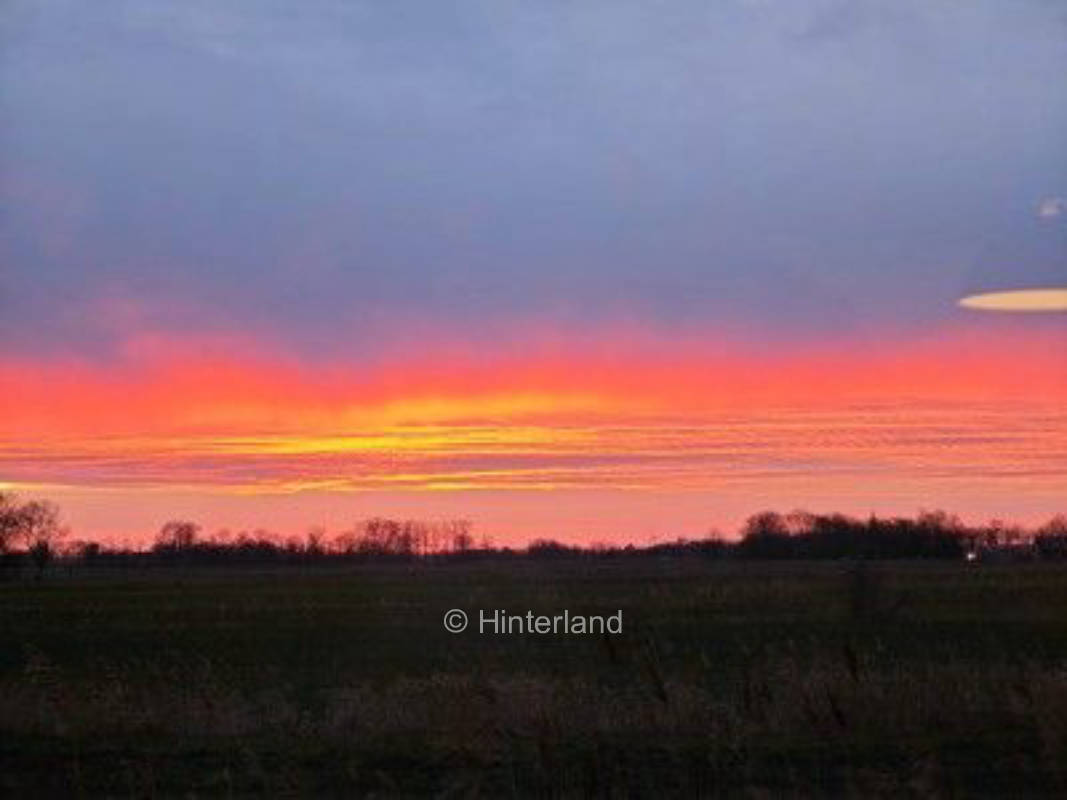 Ländlicher Stellplatz in Cuxhaven – Ruhe & Natur
