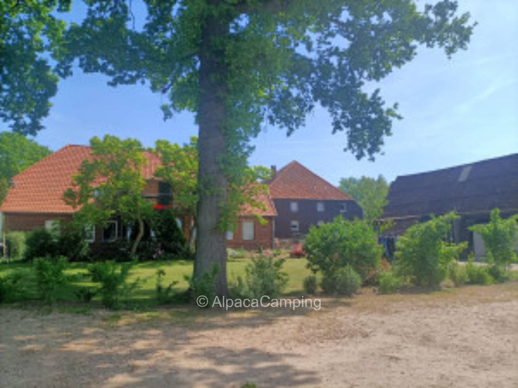 Pitch at the farm store #2