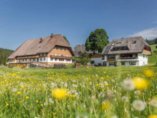 Unterhöfenhof im schönen Jostal am Titisee im Schwarzwald