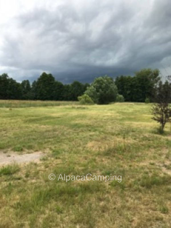 Pitch Am Alten Pfarrhaus #3