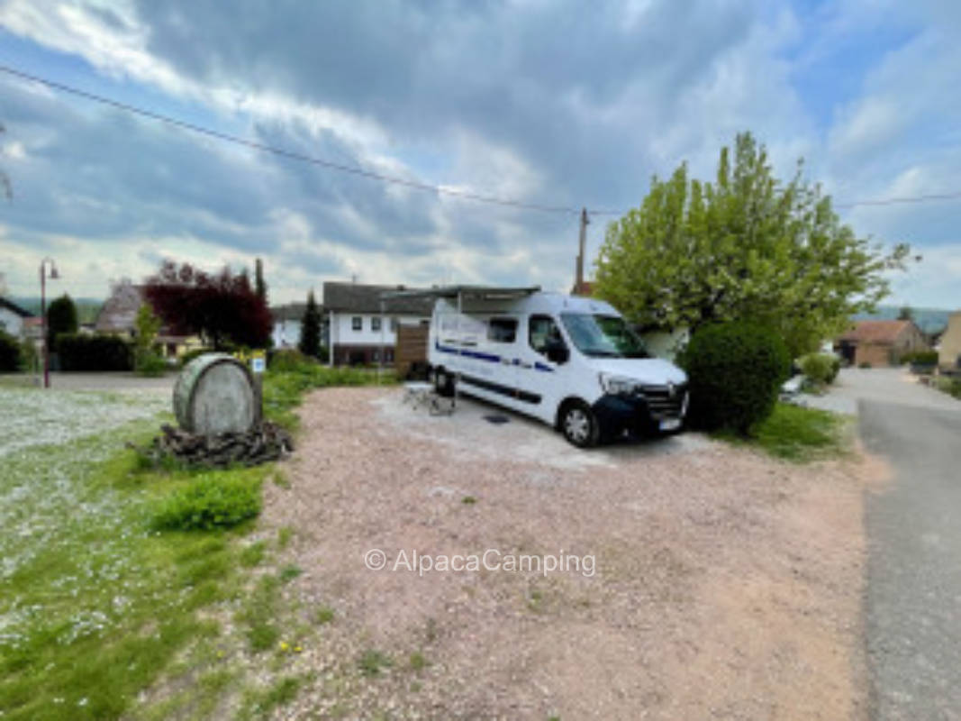 Camping und Wein? Wohnmobilstellplatz im Weinberg inmitten von Schafen #2