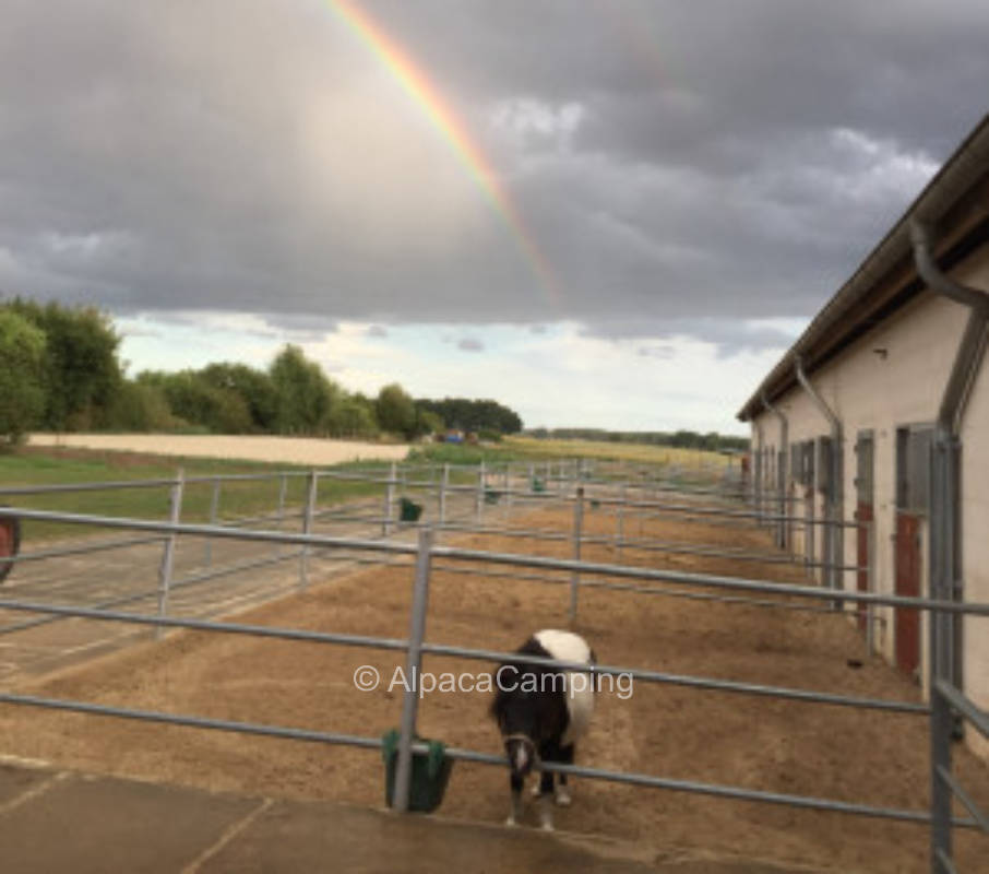 Schörfke horse farm, privater Stellplatz