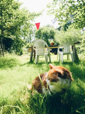 Stadtnah mit Dorffeeling und Ponys in Hamburg