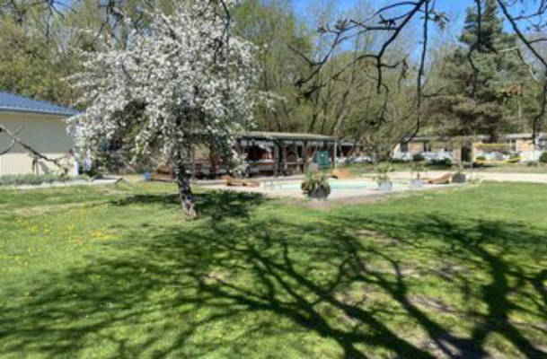 Camping - Ferienparadies-Waldidylle
