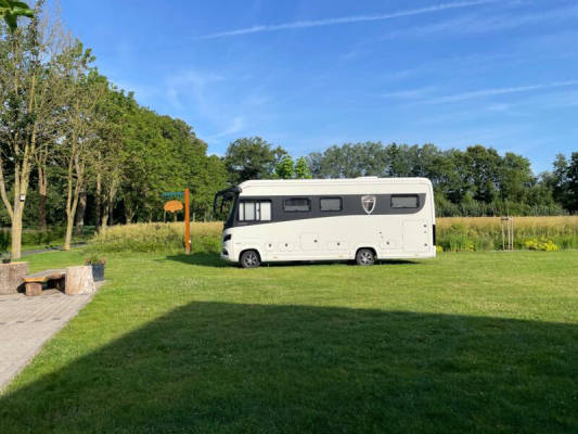Stellplatz auf Rasenfläche oder Pflasterfläche nach freier Wahl (Campspace 28983)