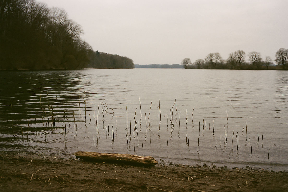 Der Westensee – KI-generiertes Symbolbild