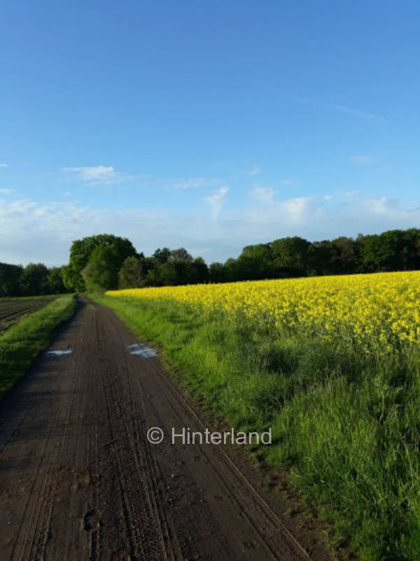 "Gartencamping am Teutoburger Wald", privater Stellplatz in 2