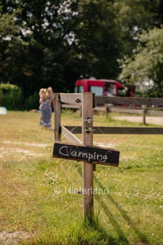 Ranch mit Pferden und Rindern am Ems-Jade-Kanal