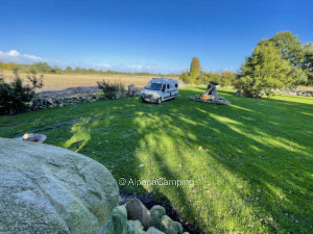 Opa‘s Steinweide #2