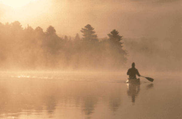 Waldstellplätze am "Großer Zechliner See"