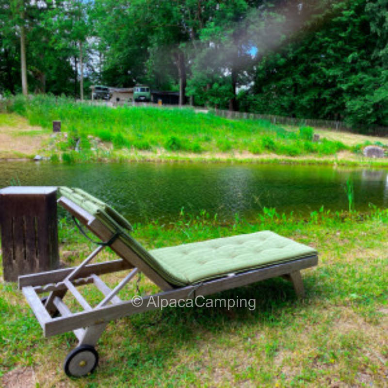 Pitch in the manor park on the Warnow river