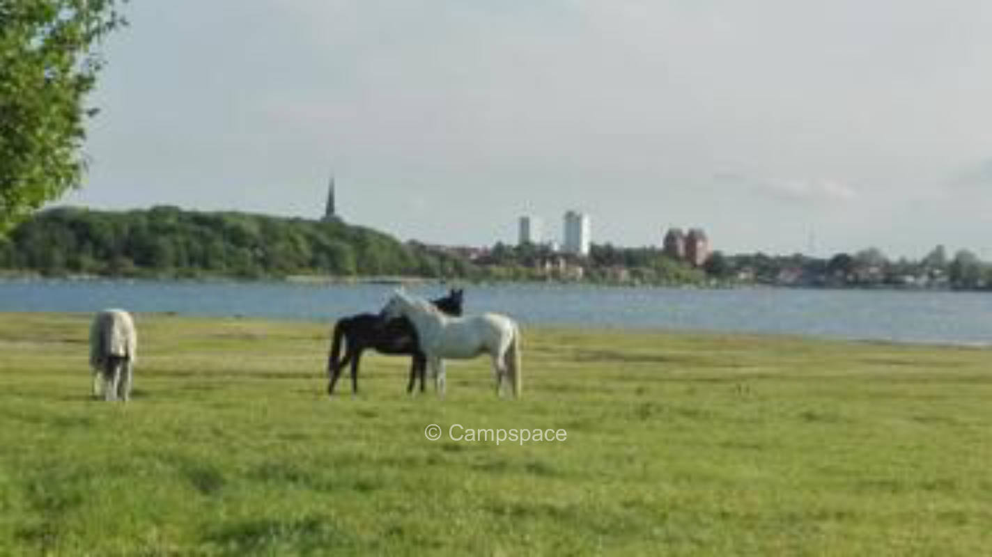 Reiterhofcamping mit Blick auf Binnenwasser in Ostseenähe