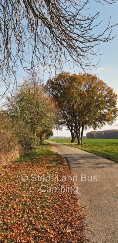 Compote for the soul - Two