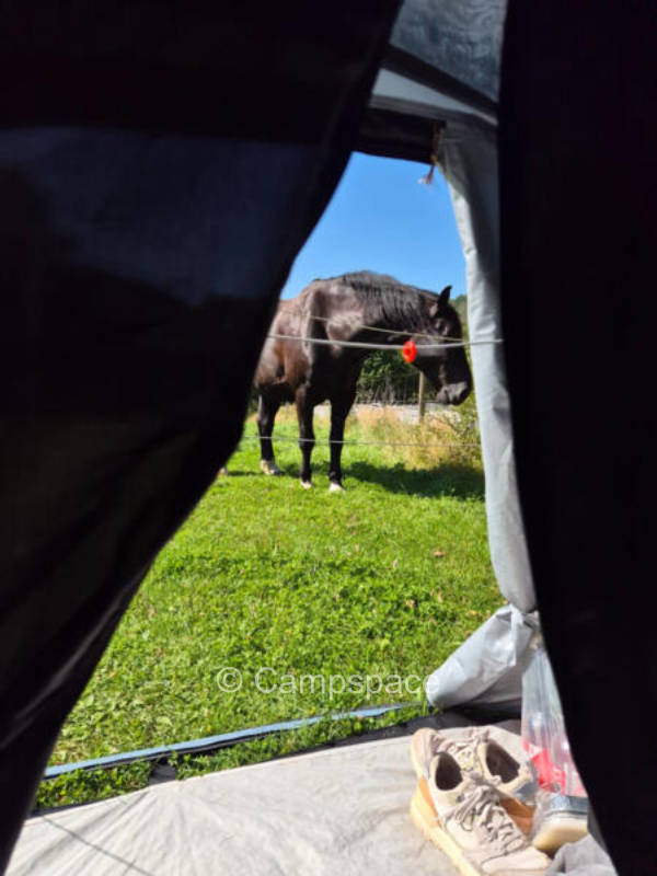 Mausmühle, Pssst - Lieblings Stellplatz im Grünen